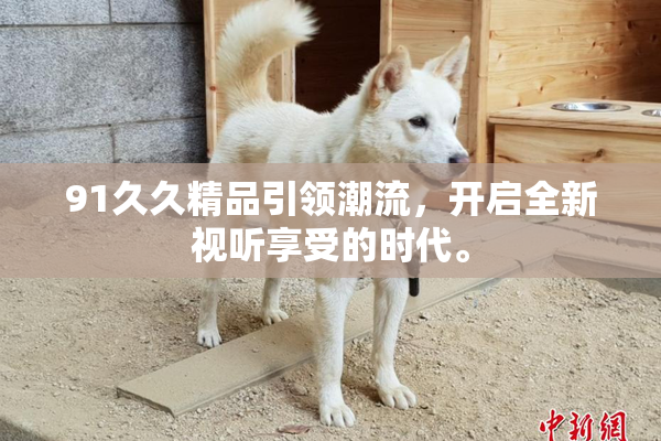 91久久精品引领潮流，开启全新视听享受的时代。