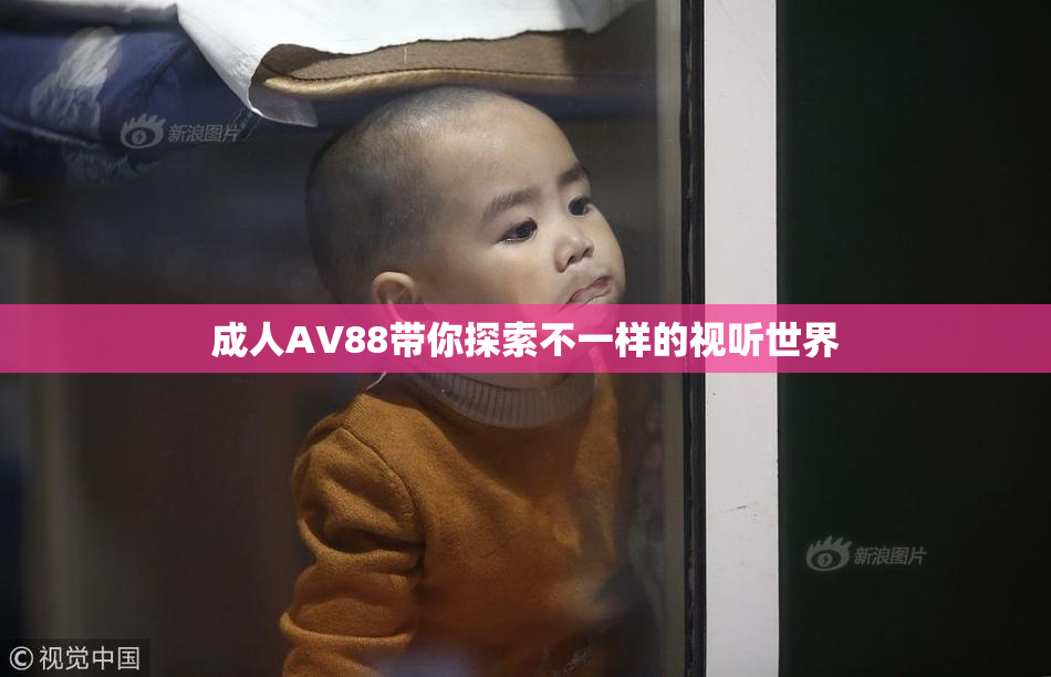 成人AV88带你探索不一样的视听世界