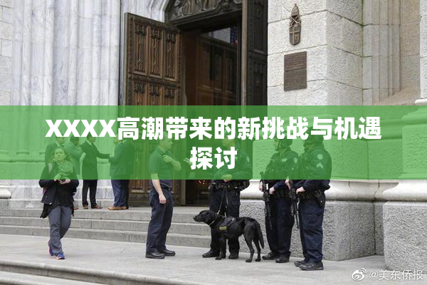 XXXX高潮带来的新挑战与机遇探讨