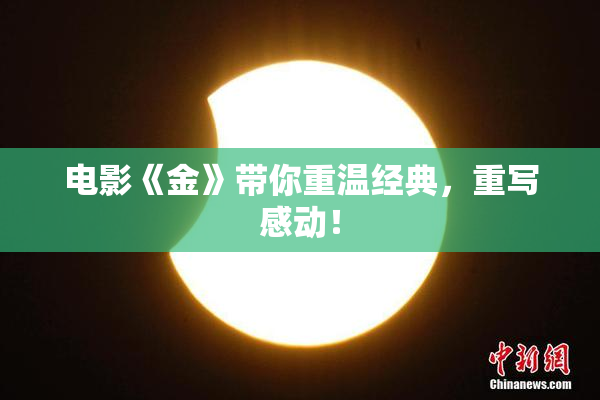 电影《金》带你重温经典，重写感动！