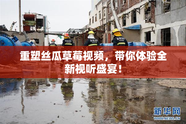 重塑丝瓜草莓视频，带你体验全新视听盛宴！