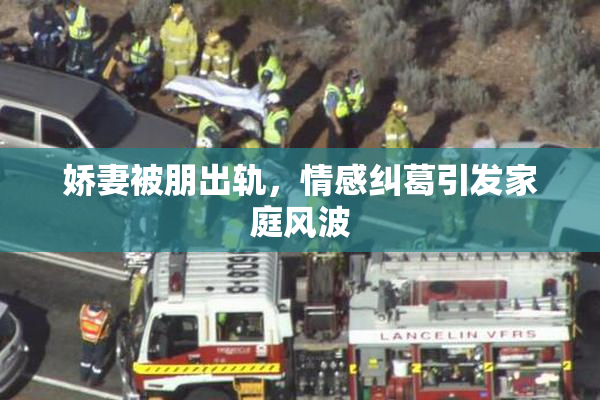 娇妻被朋出轨，情感纠葛引发家庭风波