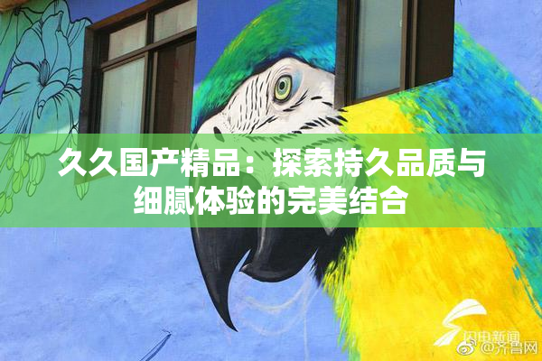 久久国产精品：探索持久品质与细腻体验的完美结合