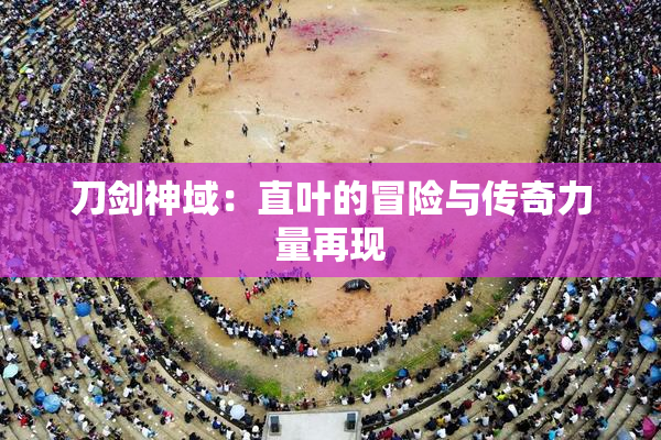 刀剑神域：直叶的冒险与传奇力量再现