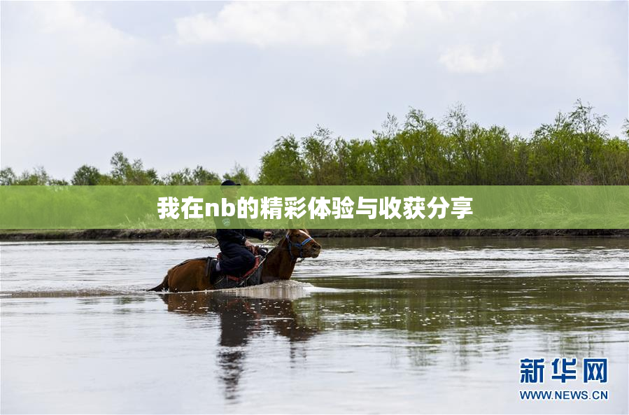 我在nb的精彩体验与收获分享