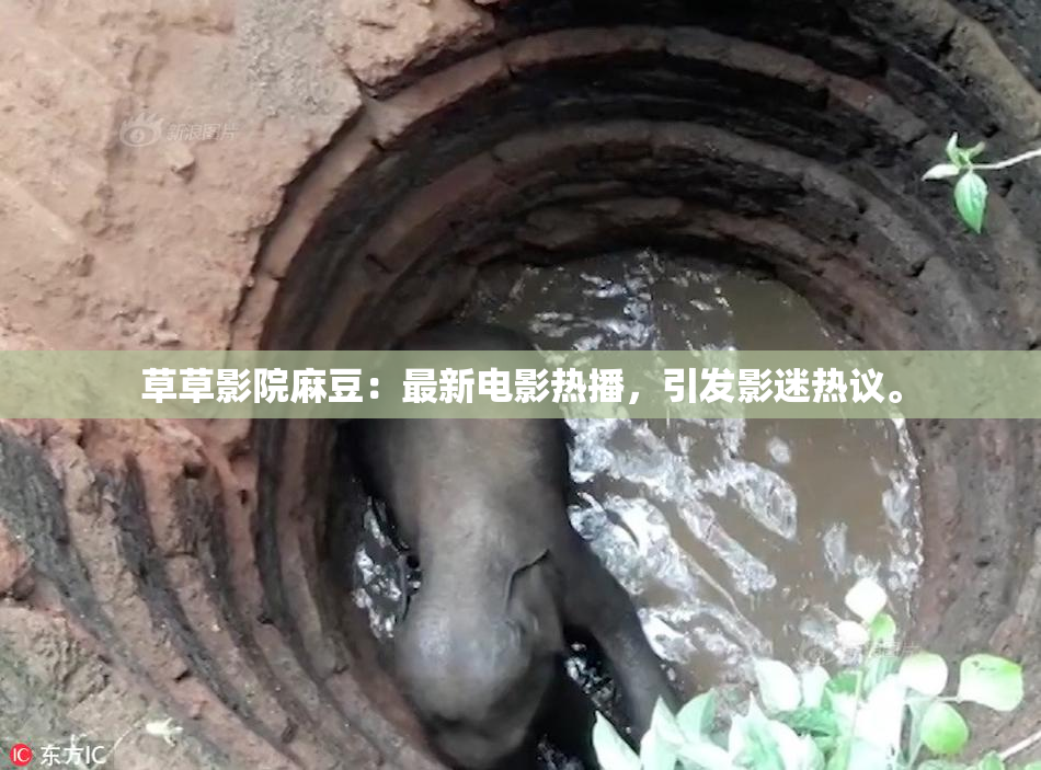 草草影院麻豆：最新电影热播，引发影迷热议。