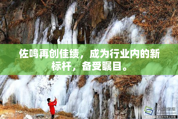 佐鸣再创佳绩，成为行业内的新标杆，备受瞩目。