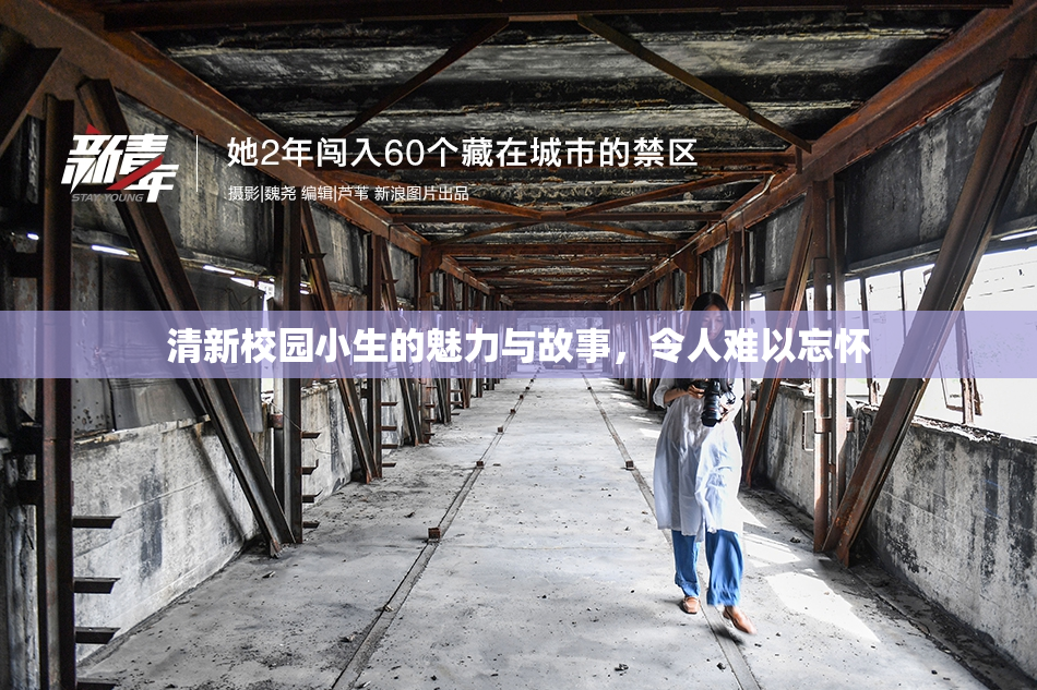 清新校园小生的魅力与故事，令人难以忘怀