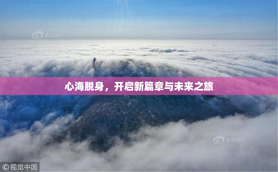 心海脱身，开启新篇章与未来之旅