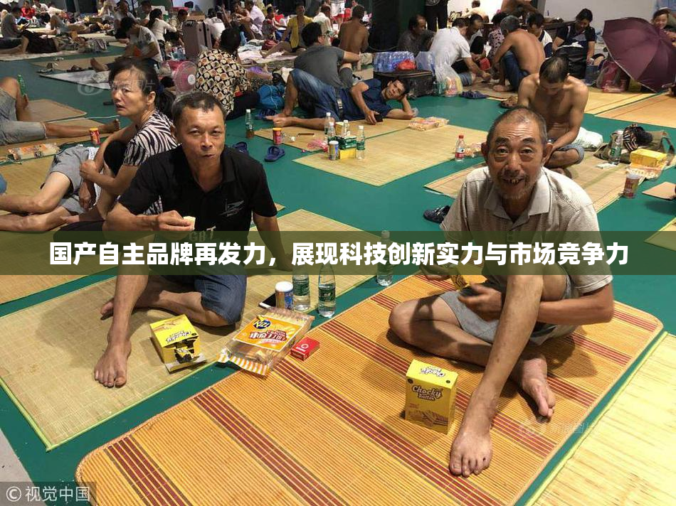 国产自主品牌再发力，展现科技创新实力与市场竞争力