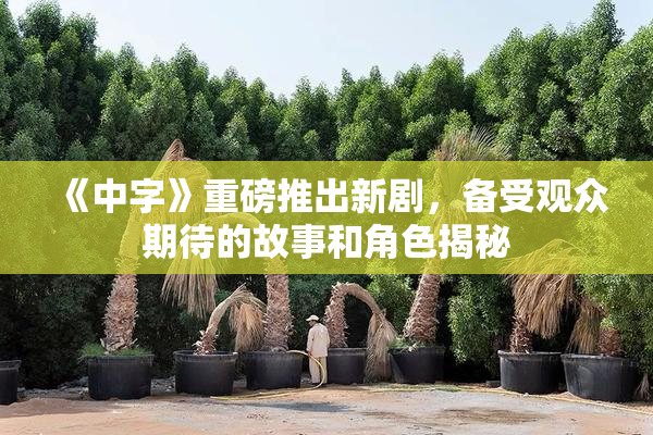 《中字》重磅推出新剧，备受观众期待的故事和角色揭秘