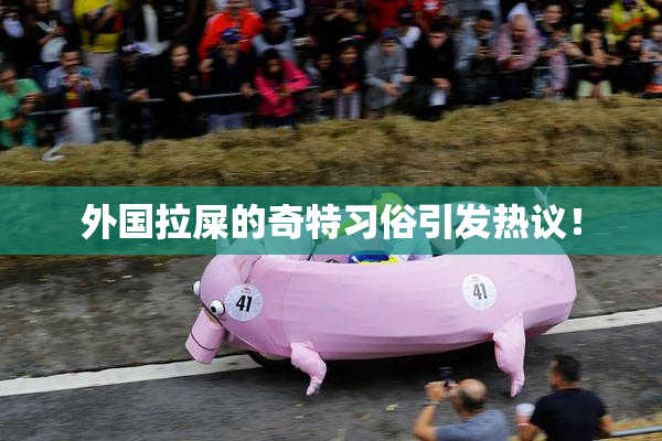 外国拉屎的奇特习俗引发热议！