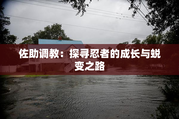 佐助调教：探寻忍者的成长与蜕变之路