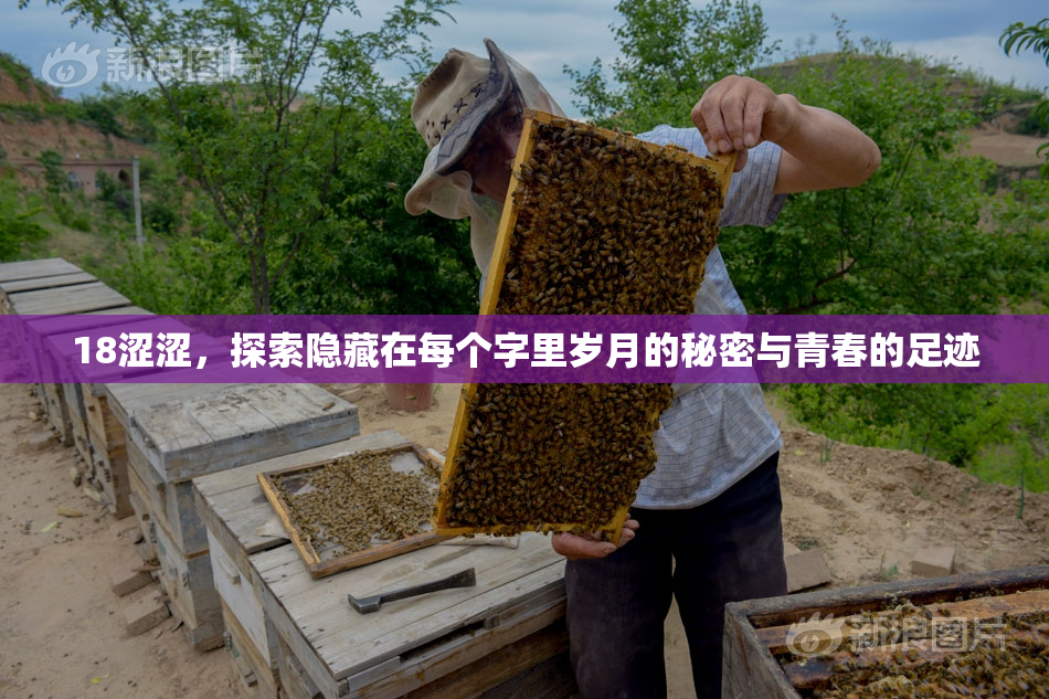18涩涩，探索隐藏在每个字里岁月的秘密与青春的足迹