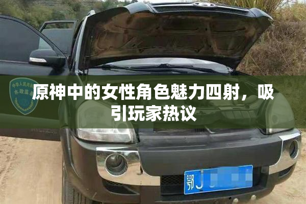 原神中的女性角色魅力四射，吸引玩家热议