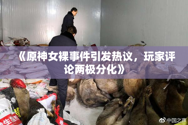 《原神女裸事件引发热议，玩家评论两极分化》