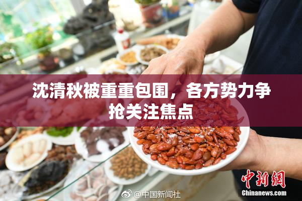 沈清秋被重重包围，各方势力争抢关注焦点