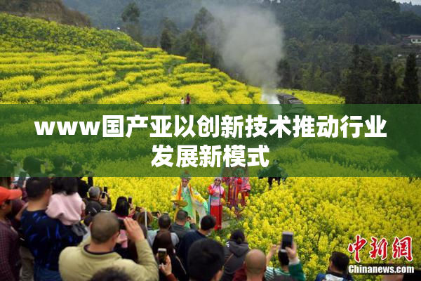 www国产亚以创新技术推动行业发展新模式