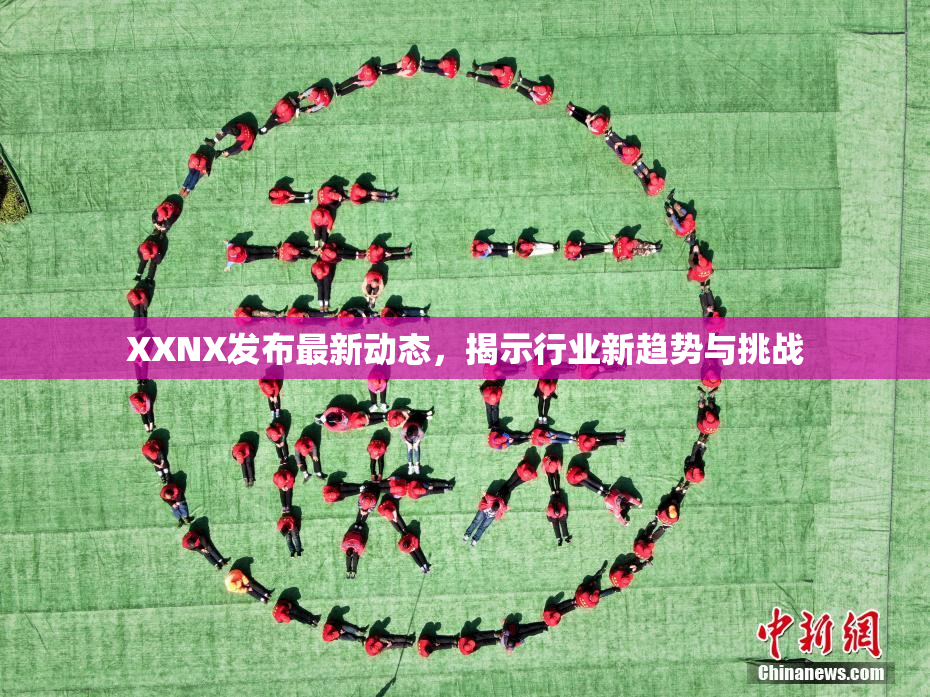 XXNX发布最新动态，揭示行业新趋势与挑战