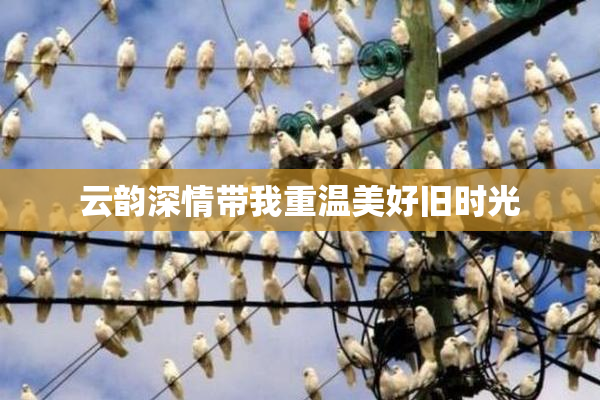 云韵深情带我重温美好旧时光