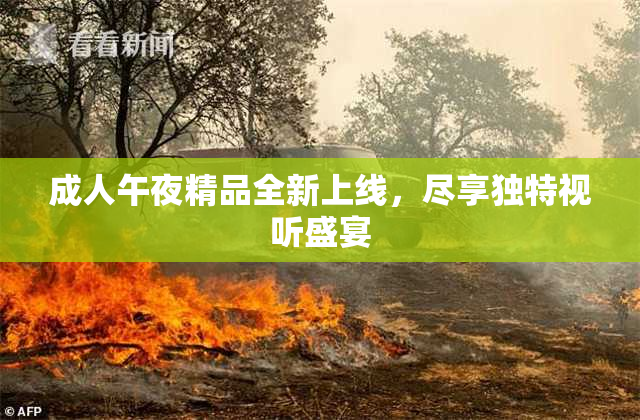 成人午夜精品全新上线，尽享独特视听盛宴