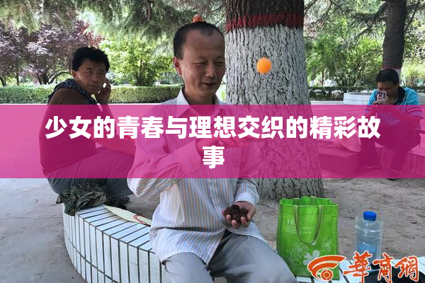 少女的青春与理想交织的精彩故事