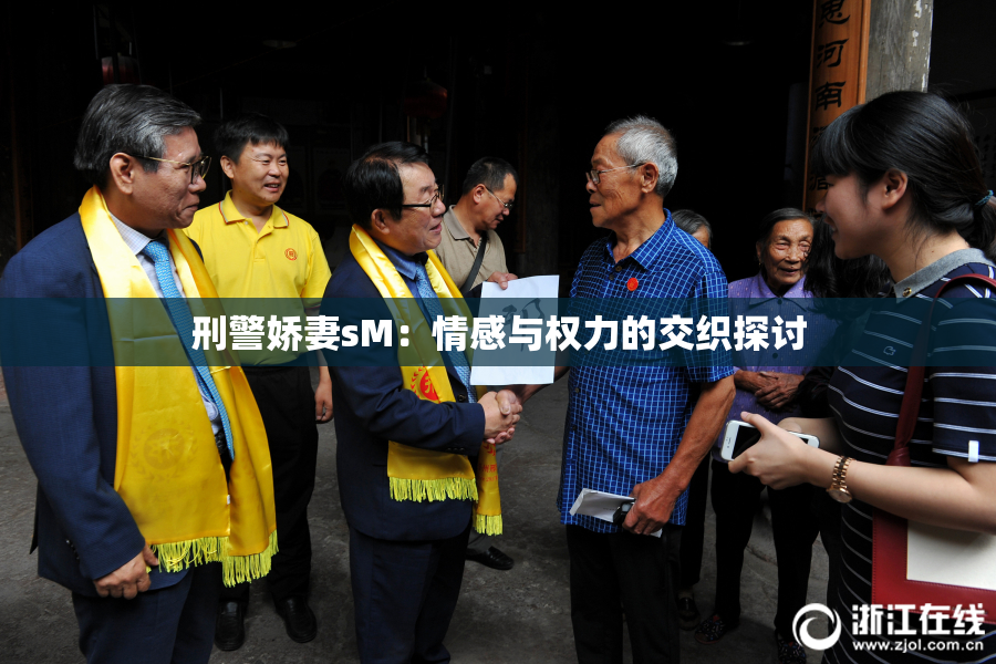 刑警娇妻sM：情感与权力的交织探讨