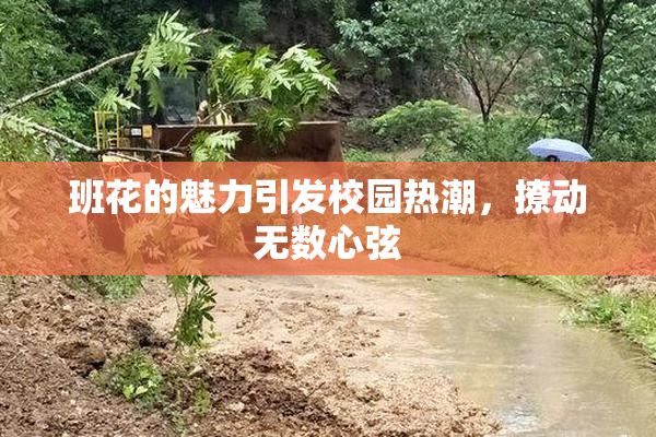 班花的魅力引发校园热潮，撩动无数心弦
