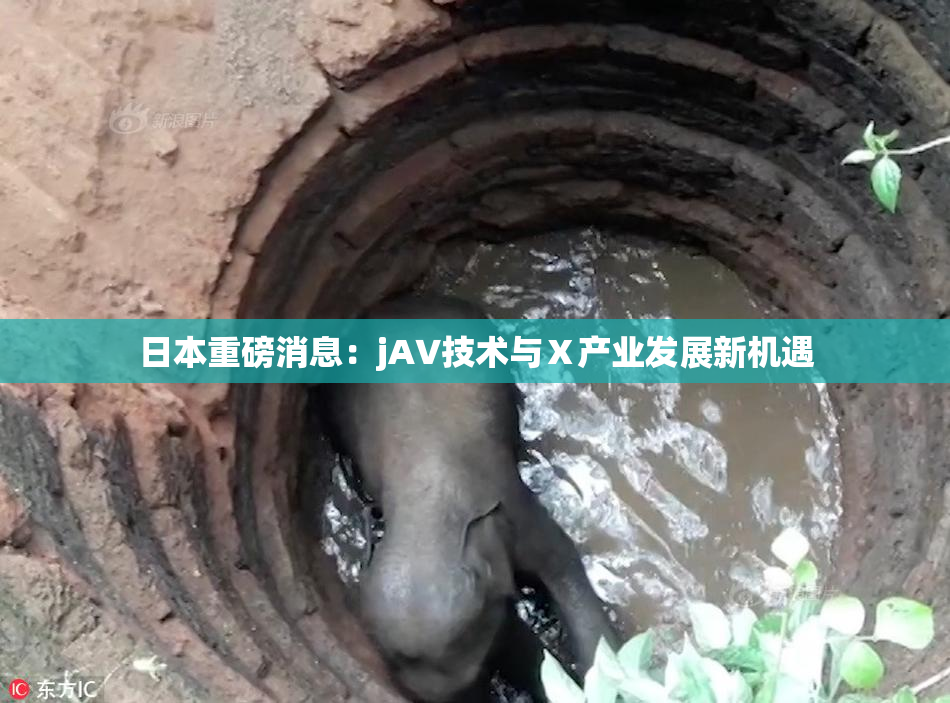 日本重磅消息：jA∨技术与Ⅹ产业发展新机遇