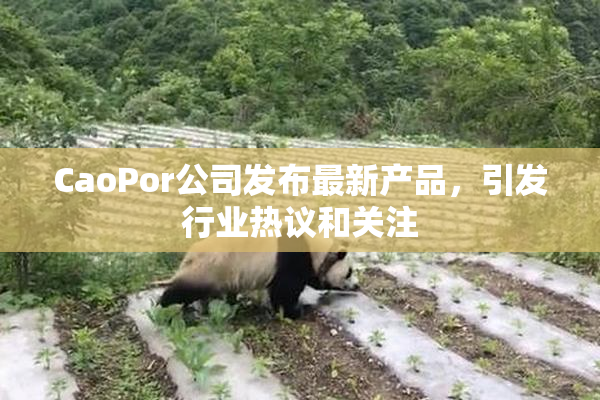 CaoPor公司发布最新产品，引发行业热议和关注