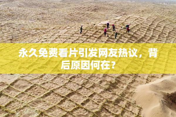 永久免费看片引发网友热议，背后原因何在？