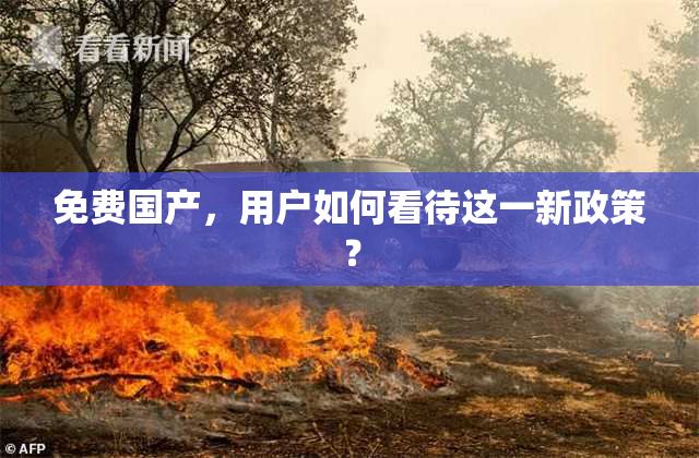 免费国产，用户如何看待这一新政策？