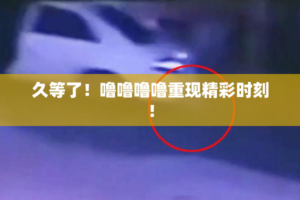 久等了！噜噜噜噜重现精彩时刻！