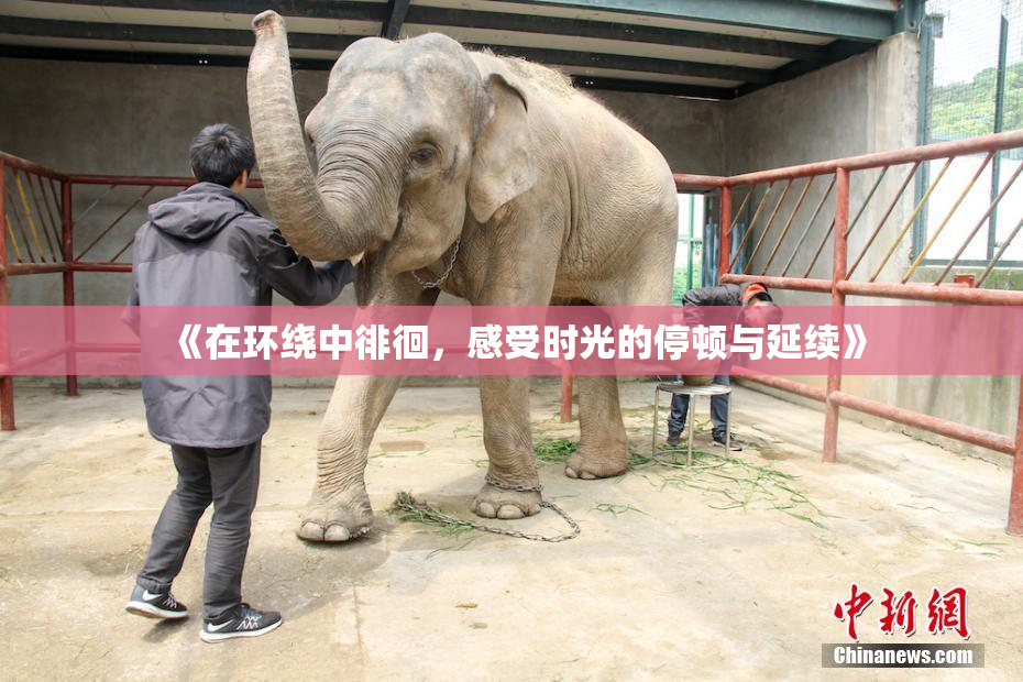 《在环绕中徘徊，感受时光的停顿与延续》