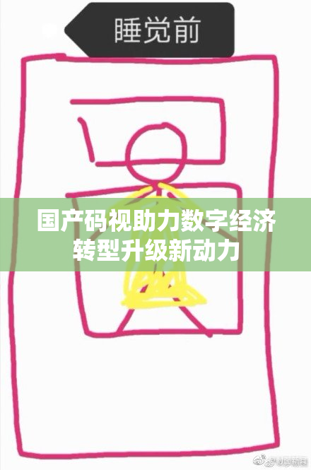 国产码视助力数字经济转型升级新动力