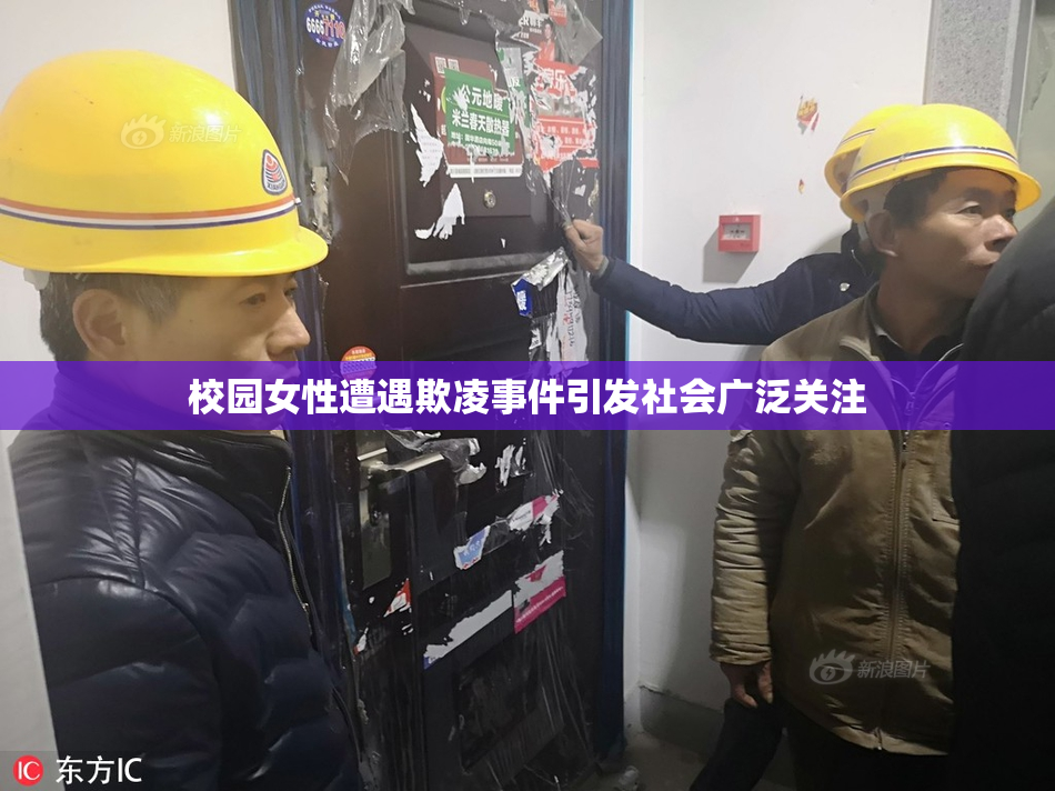 校园女性遭遇欺凌事件引发社会广泛关注
