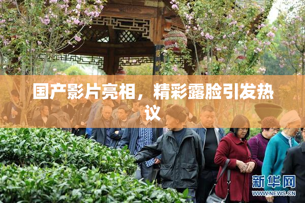 国产影片亮相，精彩露脸引发热议