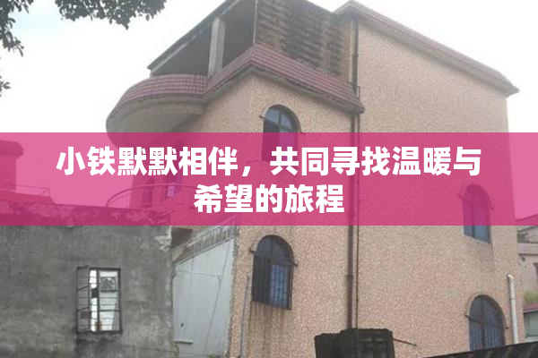 小铁默默相伴，共同寻找温暖与希望的旅程