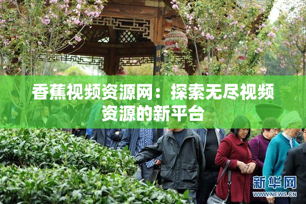 香蕉视频资源网：探索无尽视频资源的新平台