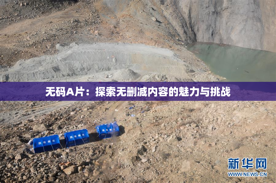 无码A片：探索无删减内容的魅力与挑战