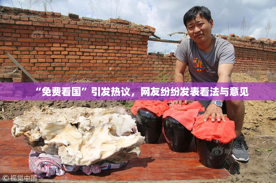 “免费看国”引发热议，网友纷纷发表看法与意见