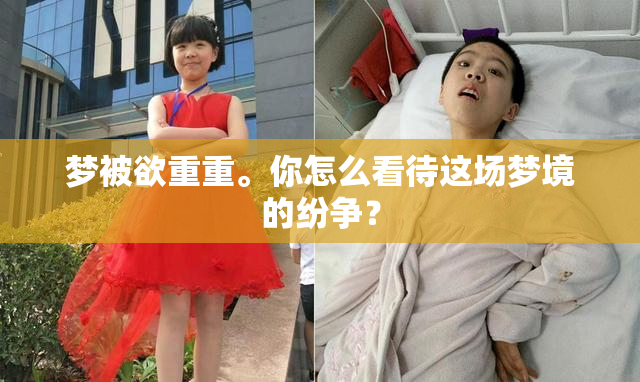 梦被欲重重。你怎么看待这场梦境的纷争？