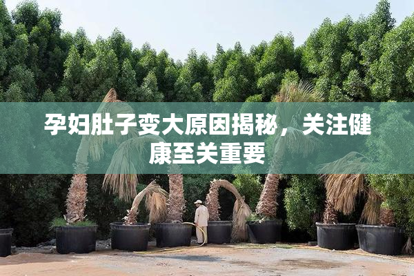 孕妇肚子变大原因揭秘，关注健康至关重要