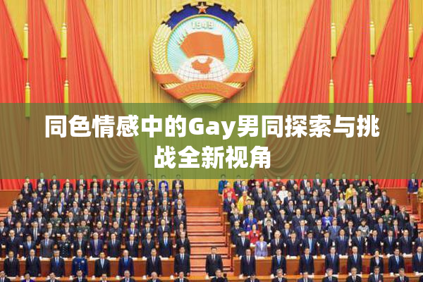 同色情感中的Gay男同探索与挑战全新视角