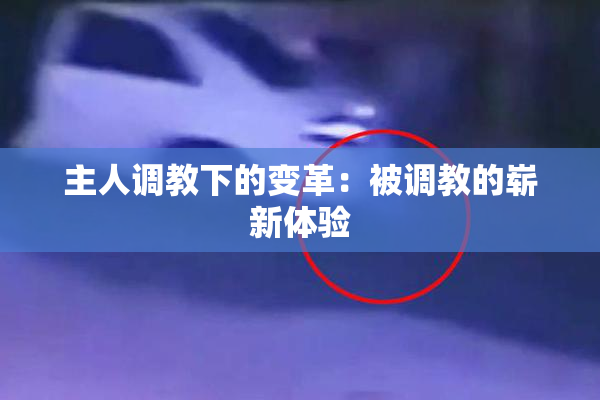 主人调教下的变革：被调教的崭新体验