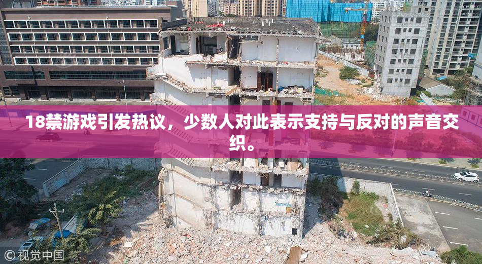18禁游戏引发热议，少数人对此表示支持与反对的声音交织。