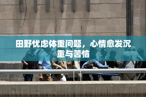 田野忧虑体重问题，心情愈发沉重与苦恼