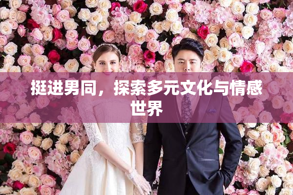 挺进男同，探索多元文化与情感世界