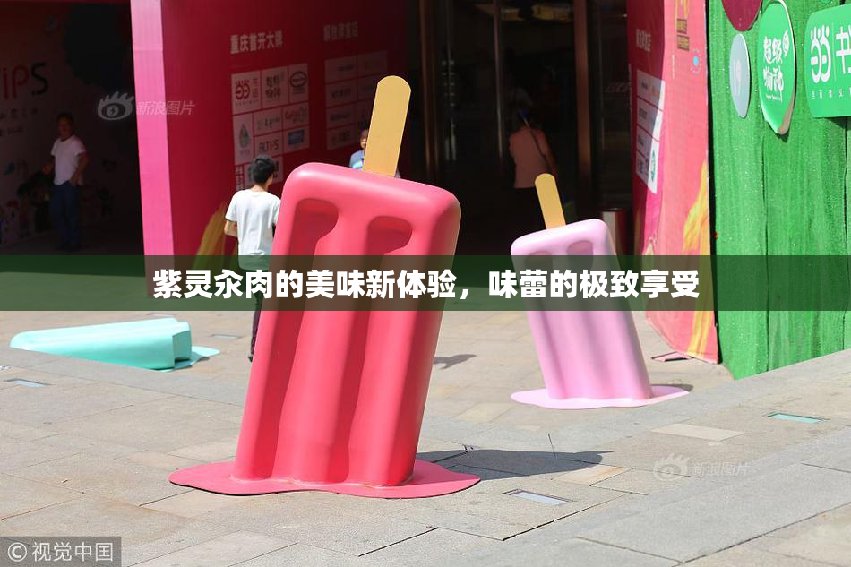紫灵汆肉的美味新体验，味蕾的极致享受
