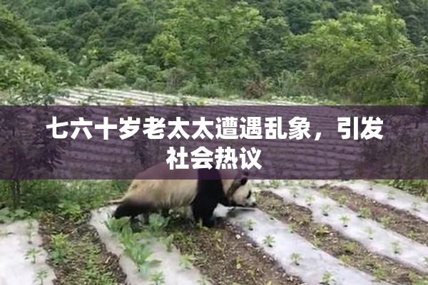 七六十岁老太太遭遇乱象，引发社会热议